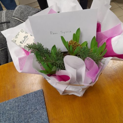 Gros plan sur la plante offerte à Sylvie.