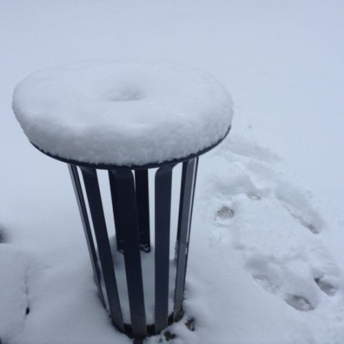 Un drôle de champignon blanc.