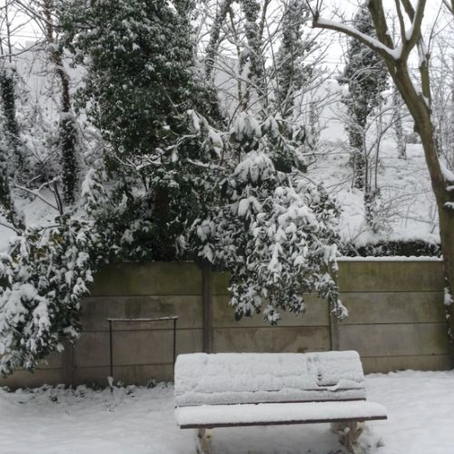 Les amoureux qui se bécotent sur les bancs publics. Mais où sont-ils ?