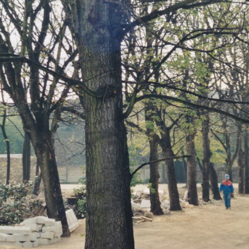 Une partie du terrain.