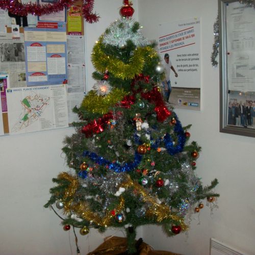 Notre beau sapin, décoré par Jacky.