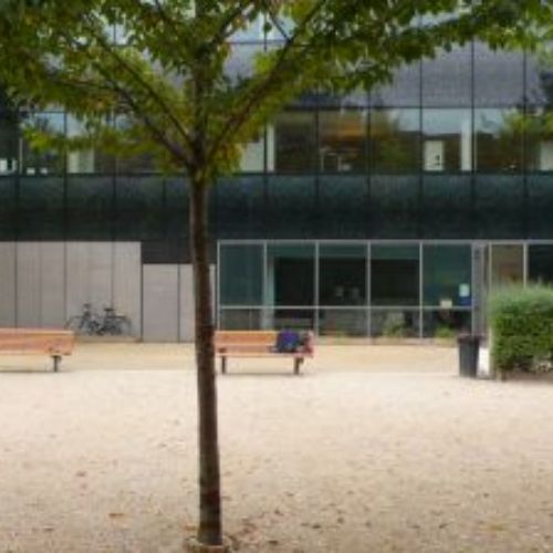 Notre terrain avec vue sur le Club House