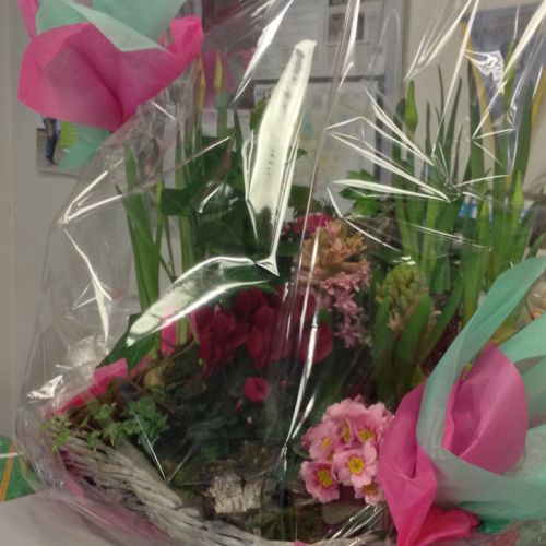 Des fleurs pour l'anniversaire de Anita en février.
